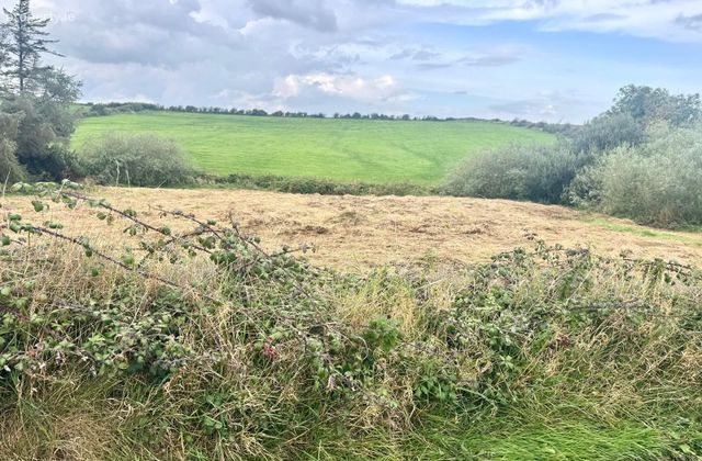Ballybreen, Kilfenora, Co. Clare - Click to view photos