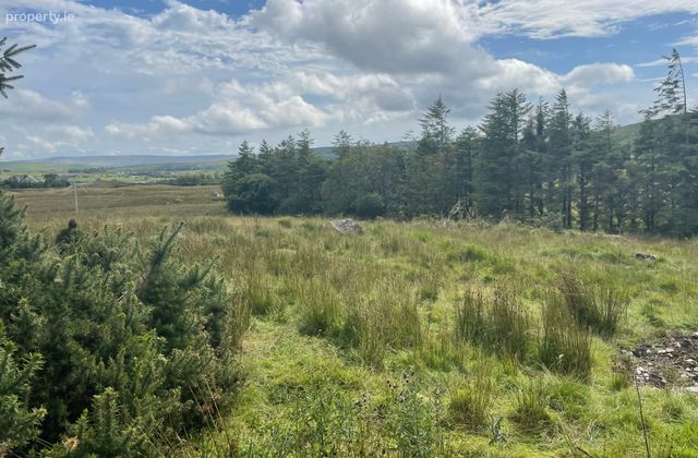 Site Spp, Glynsk, Liscarney, Westport, Co. Mayo, Liscarney, Co. Mayo - Click to view photos