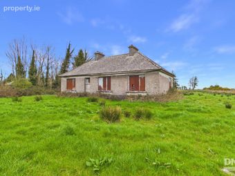 Derelict Residence On C. 14.40 Acres, Derryvode, Williamstown, Co. Galway, Williamstown, Co. Galway - Image 3