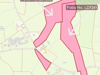 Leab, Elfeet (burke), Newtowncashel, Co. Longford