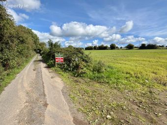 Ballinlough, Ballyroan, Co. Laois - Image 4