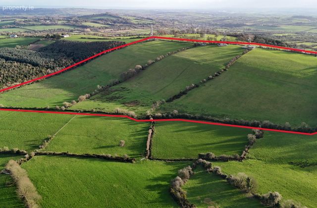 Mount Oriel, Collon, Co. Louth - Click to view photos
