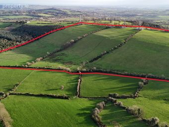 Mount Oriel, Collon, Co. Louth
