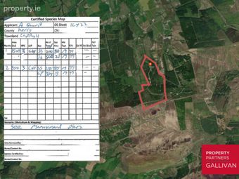 Forestry Land, Cappagh, Kilflynn, Co. Kerry, Kilflynn, Co. Kerry - Image 2