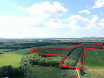 19.7 Acres Forestry Plantation Clogher, Lixnaw, Co. Kerry - Image 2