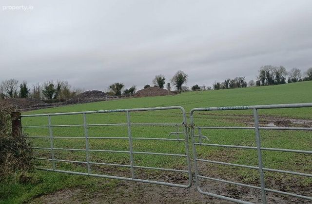 Sheepstown, Delvin, Co. Westmeath, Delvin, Co. Westmeath - Click to view photos