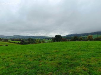 Ballinacourty, Kilfinane, Co. Limerick, Kilfinane, Co. Limerick - Image 3