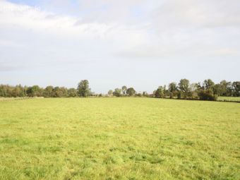 Monivea Demesne, Monivea, Co. Galway - Image 5