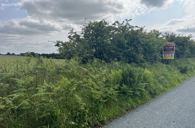 Currafaireen, Monivea, Co. Galway - Click to view photos