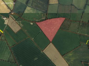 Lands Ballisland, Shillelagh, Co. Wicklow - Image 5