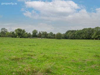 Farra, Bunbrosna, Co. Westmeath - Image 4