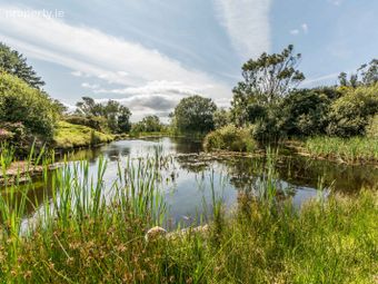 Lucy's Farmhouse, Gloun, Schull, Dunmanus, Co. Cork - Image 2