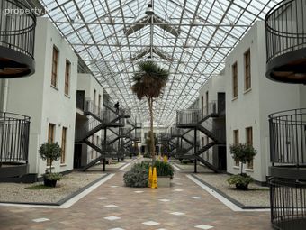 The Sycamore, Winter Garden, Dublin 2