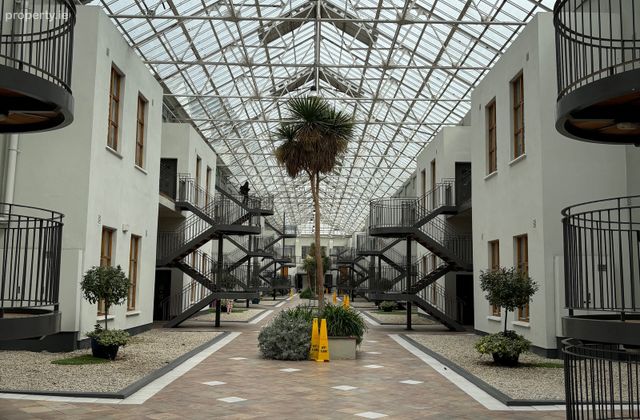 The Sycamore, Winter Garden, Dublin 2 - Click to view photos