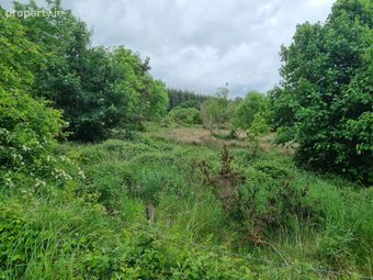 Furroor Kilmaley, Ennis, Co. Clare - Image 3
