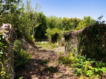 C. 5 Acres At Lane Of Stones, Carne, Co. Wexford., Carne, Co. Wexford - Image 3