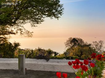 Palermo, Killiney Hill Road, Killiney, Co. Dublin - Image 5