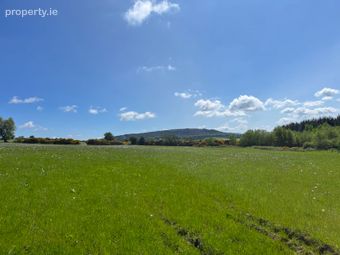 C.39 Acres (15.79ha) Slanelough, Ashford, Co. Wicklow - Image 5