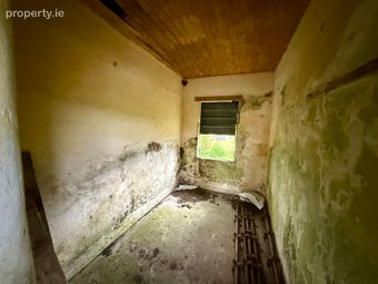 Twin Trees, Clogher Upper, Ballinlough, Co. Roscommon - Image 4