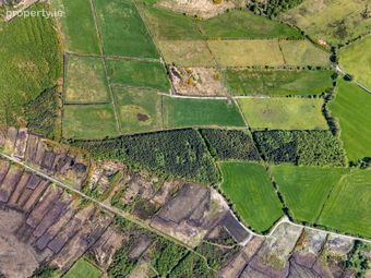 A1g54, Tonalig, Ballinasloe, Co. Galway - Image 5