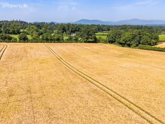 Whole: Lands &amp; Cottage, Lisnavagh, Rathvilly, Co. Carlow, Rathvilly, Co. Carlow - Image 3
