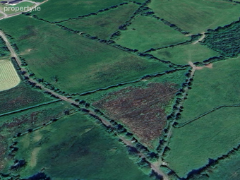 Gortoose, Scramoge, Co. Roscommon - Image 3