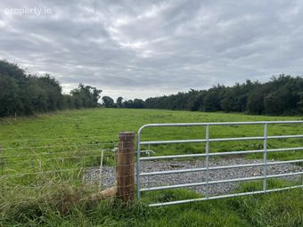 Clonin Lane, Rhode, Co. Offaly - Image 4