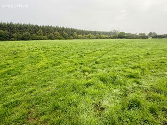 Doonane, Crettyard, Co. Laois - Image 2