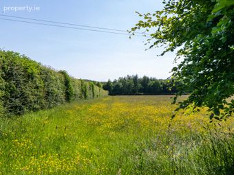 Castlegar East, Ahascragh, Ballinasloe, Co. Galway, Ahascragh, Co. Galway - Image 4