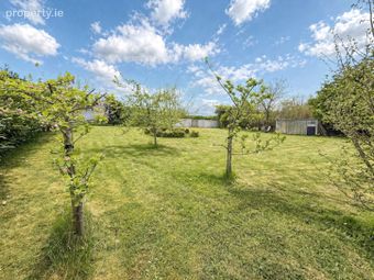 Carricksallagh, Carlow Road, Stradbally, Portlaoise, Co. Laois, Ballaghmore, Co. Laois - Image 5