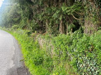 Ballinaclough, Black Hill, Glenealy, Co. Wicklow - Image 4