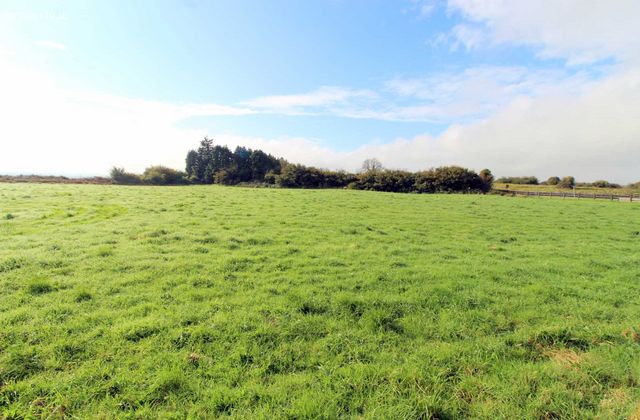 Cragataska, Quin, Co. Clare, Quin, Co. Clare - Click to view photos