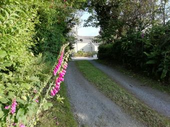 Arderawinny, Schull, Lowertown, Co. Cork - Image 5