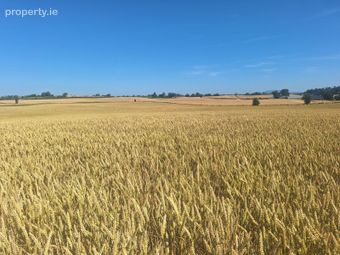 Lisrenny, Tallanstown, Co. Louth - Image 2