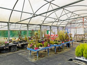 Ballykelly Garden Centre On 5.6acres, Killinick, Co. Wexford, Killinick, Co. Wexford - Image 4