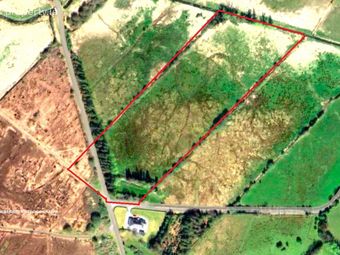 Lands Ballyglass, Dysart, Co. Roscommon - Image 3