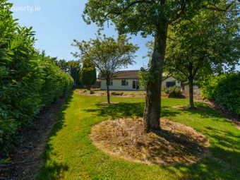 Yellow House, Kilcully, White's Cross, Co. Cork - Image 4