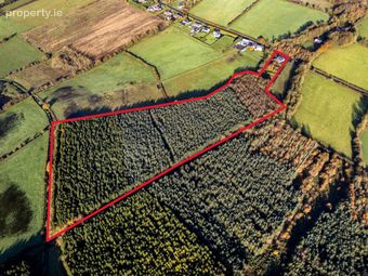 Clonmore, Cappincur, Tullamore, Co. Offaly, Geashill, Co. Offaly - Image 4