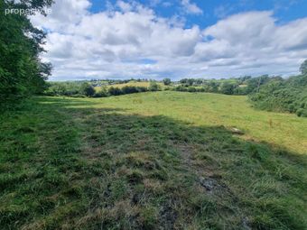 C.9acres And Derelict Cottage, Monaghan, Co. Monaghan - Image 2