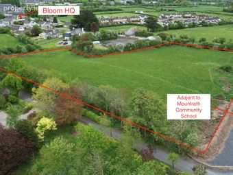 Dysartbeigh, Mountrath, Co. Laois, Mountrath, Co. Laois