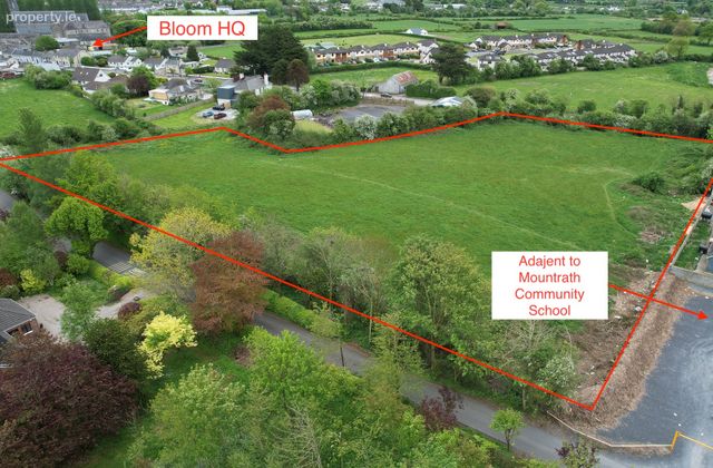 Dysartbeigh, Mountrath, Co. Laois, Mountrath, Co. Laois - Click to view photos