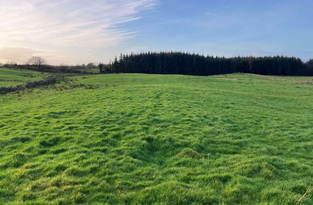 Curraghaun, Dunmore, Co. Galway, Dunmore, Co. Galway - Click to view photos