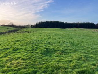 Curraghaun, Dunmore, Co. Galway, Dunmore, Co. Galway