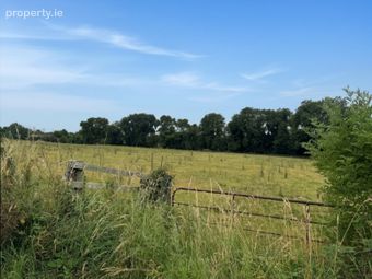 Land C. 5.5 Acres, Dowdenstown, Ballymore Eustace, Co. Kildare - Image 4