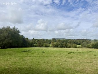Ballingate (c. 12 Acres), Carnew, Co. Wicklow, Carnew, Co. Wicklow - Image 5