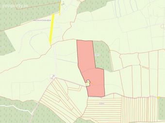 Lands At Cohy, Kilfenora, Co. Clare, Kilfenora, Co. Clare - Image 2