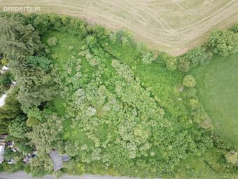 Lands At, Ballanabarney, Inistioge, Co. Kilkenny, Inistioge, Co. Kilkenny - Image 2