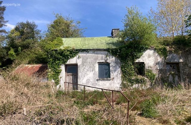 Tylagh Kielduff, Tralee, Co. Kerry - Click to view photos