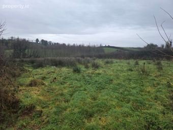 Drummod, Bodyke, Co. Clare - Image 3