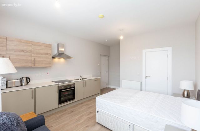 Baggot Street Lower, Dublin 2 - Click to view photos